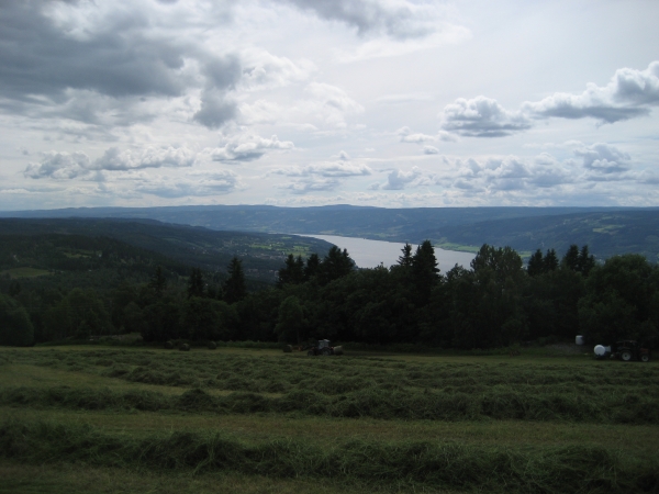 View of Lake from Studios