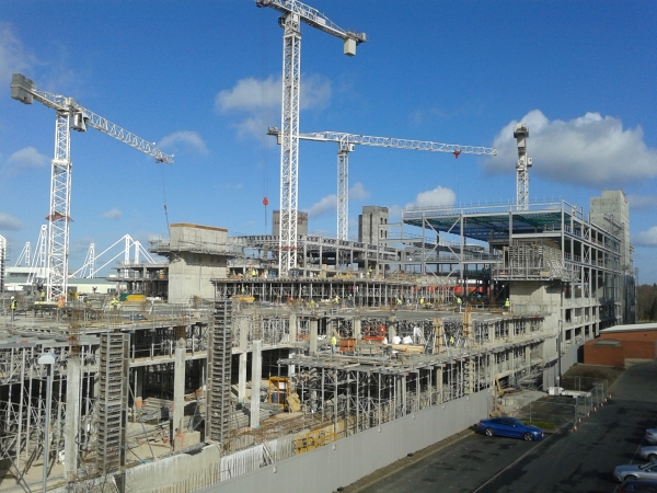 View of the site before we started work