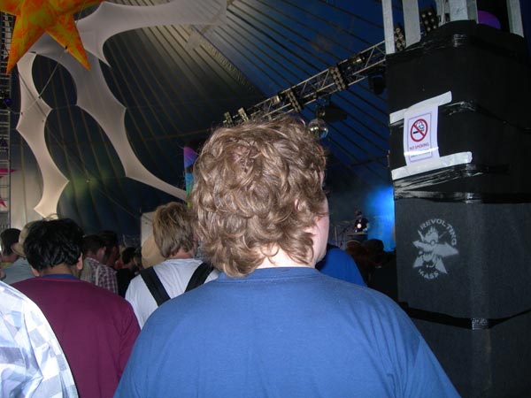 Glastonbury Festival exhibits Revolting Mass's work