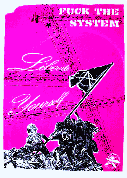 Anarchy Flag - Fuck the System Screen Prints - Revolting Mass Revolting Mass - Anarchy Flag - Fuck the System Screen Prints