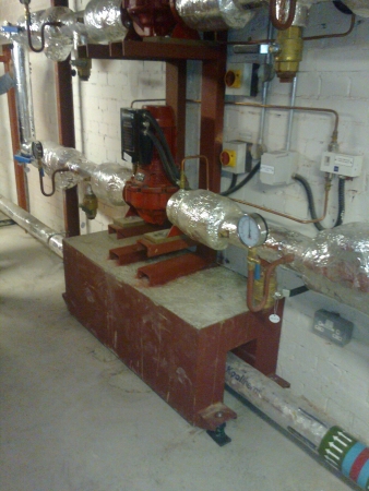 Unusual shaped inertia base for plant